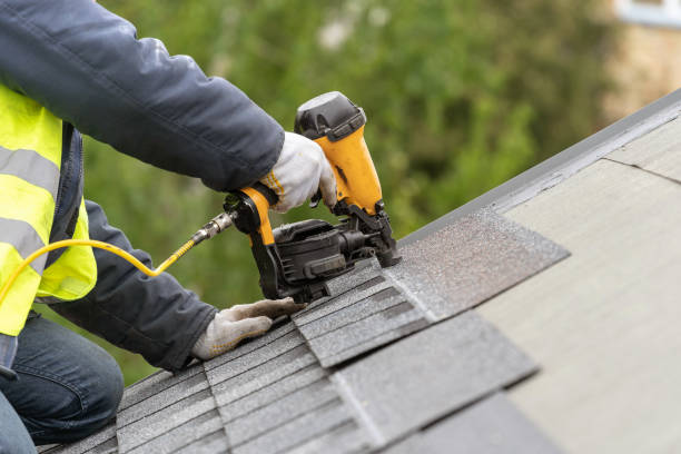 Best Roof Restoration  in Romney, WV
