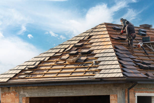 Best Storm Damage Roof Repair  in Romney, WV